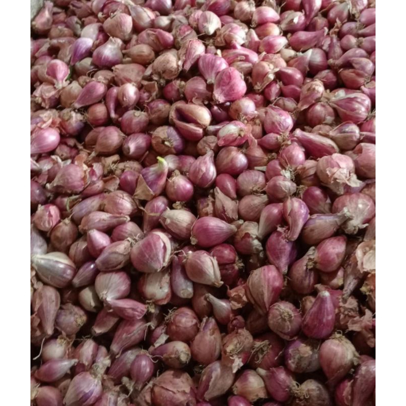 

sayur mayur bawang merah 250gr 500gr 1kg