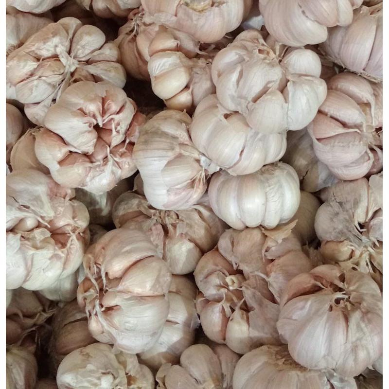 

sayur mayur bawang putih/bodas 250gr 500gr 1 kg