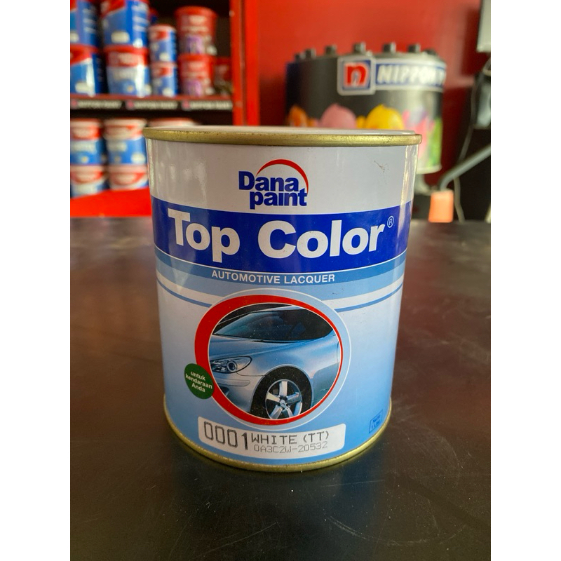 Cat Top Color Dana Paint