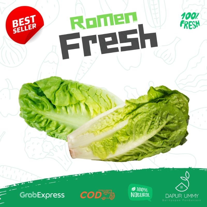 

SAYUR FRESH • Lettuce Romaine • Selada Romen • [Lagi Naik]