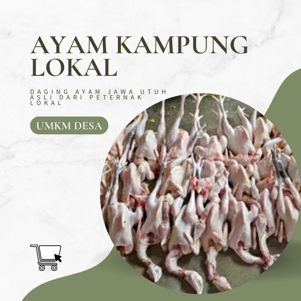 

Murah!!!!! Ayam Kampung Utuh Asli dari Peternak Lokal