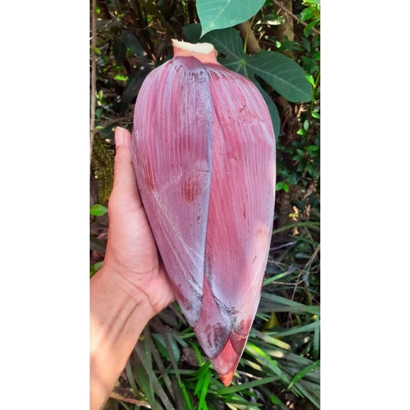 

jantung pisang segar 1pcs