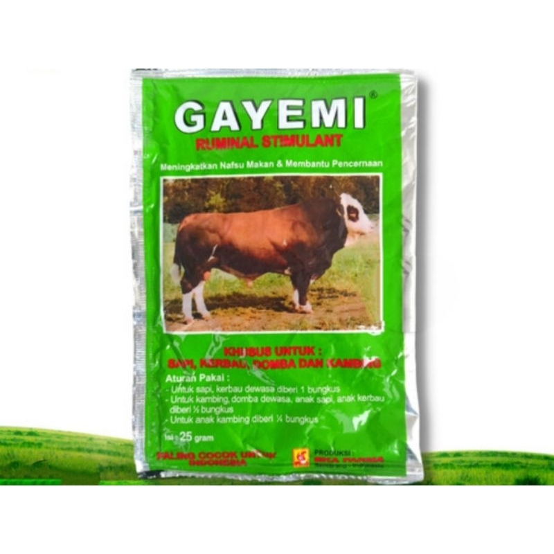 Gayemi jamu sapi domba kambing penggemukan