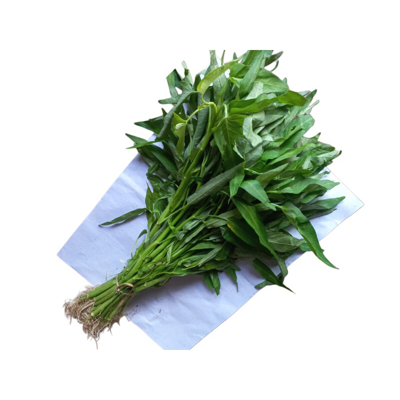 

Kangkung