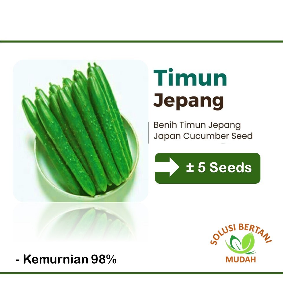 Bibit Benih Sayuran Timun Jepang Hibrida Unggul