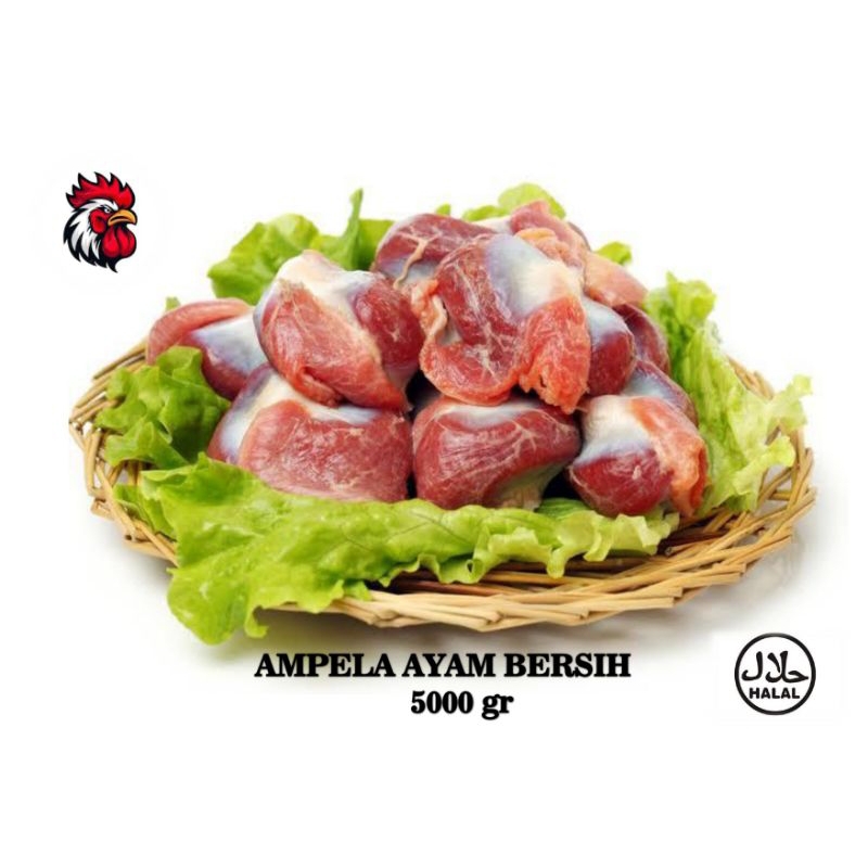 

AMPELA HATI AYAM BERSIH 5 kg