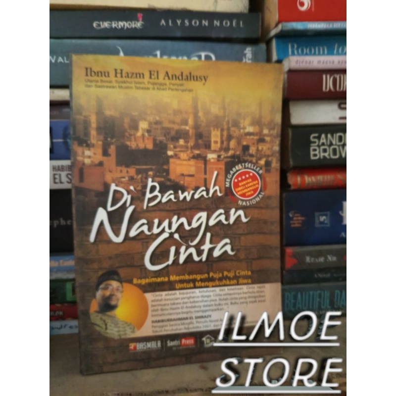 Novel - Dibawah Naungan Cinta