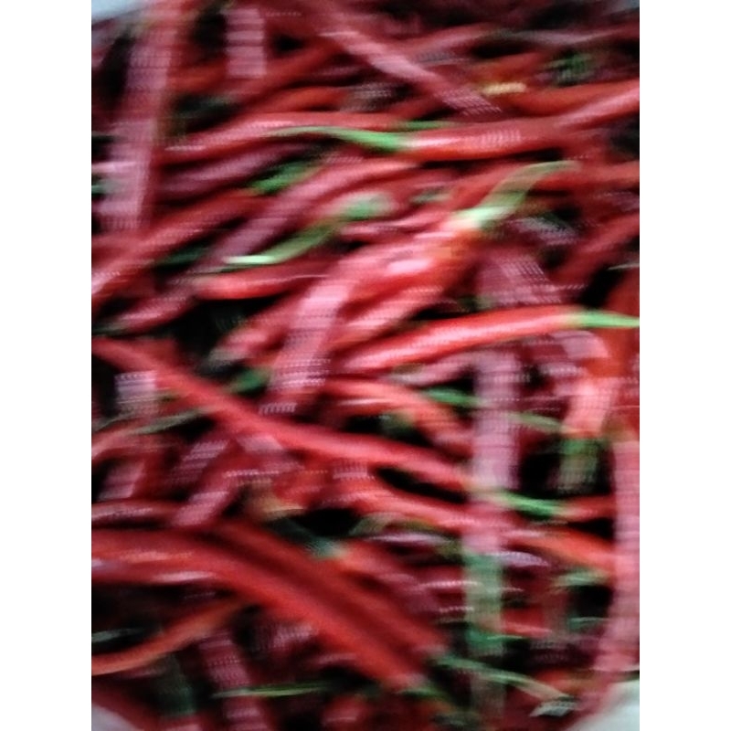 

Cabai Merah Keriting Pilihan Fresh 1KG