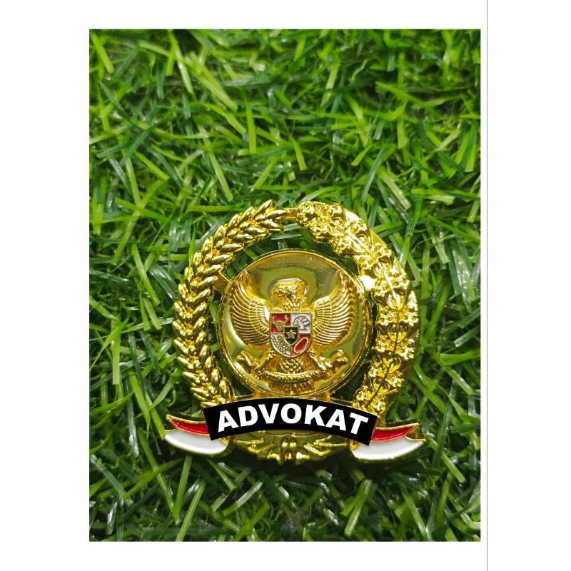 Pin padikapas Advokat / pengacara