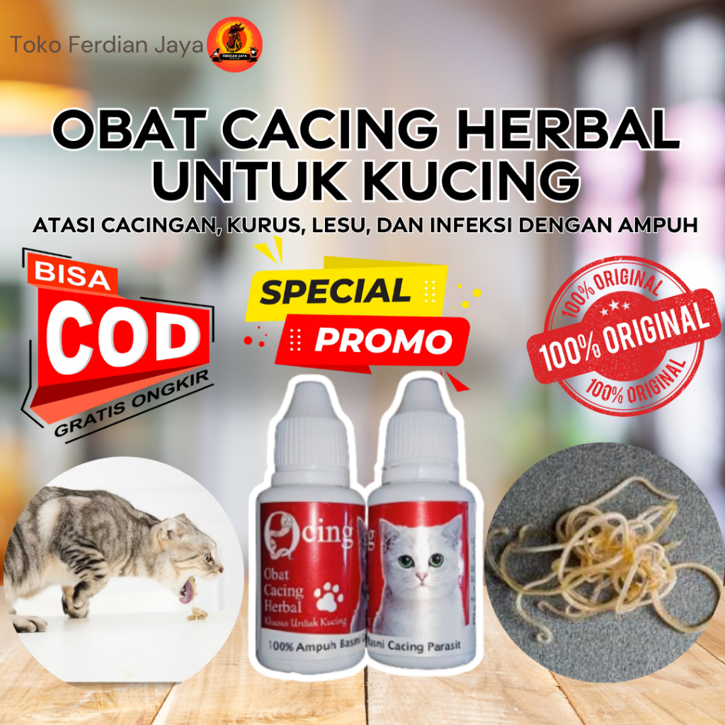 Obat Cacing Herbal untuk Kucing – Atasi Cacingan, Kurus, Lesu, dan Infeksi dengan Ampuh