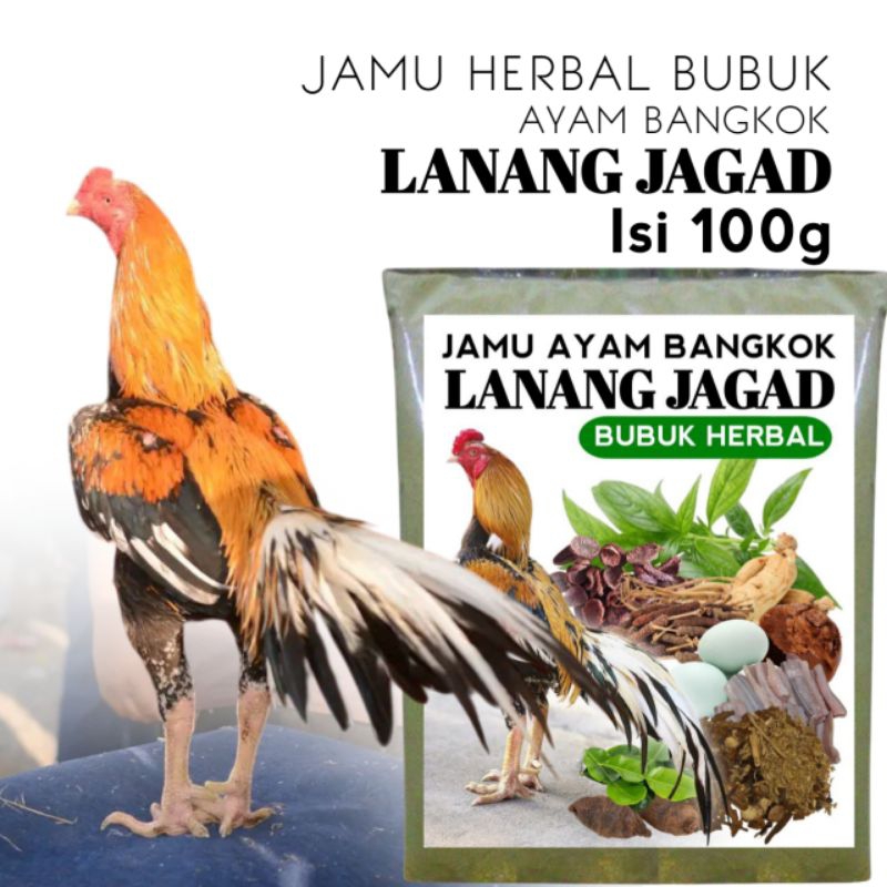 Jamu Herbal Lanang Jagad Ayam Bangkok