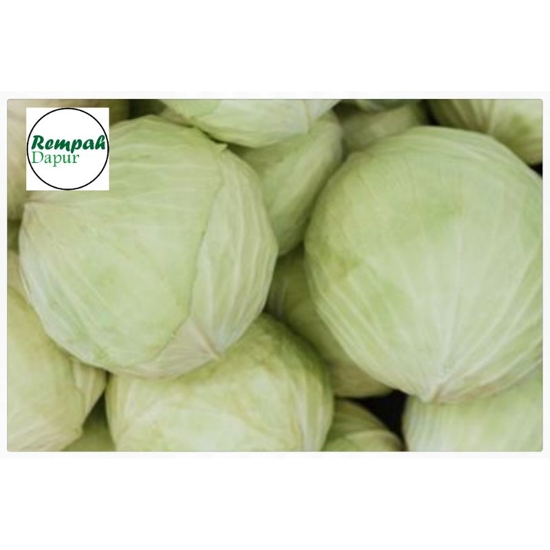 

sayur kol/kubis murah