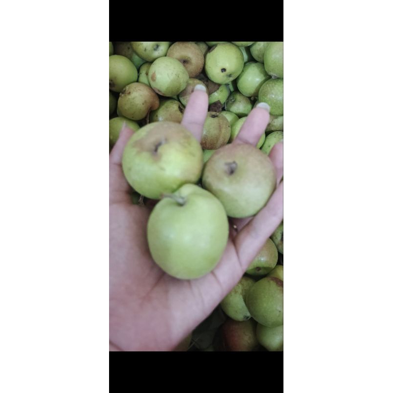 

Apel cerry manalagi