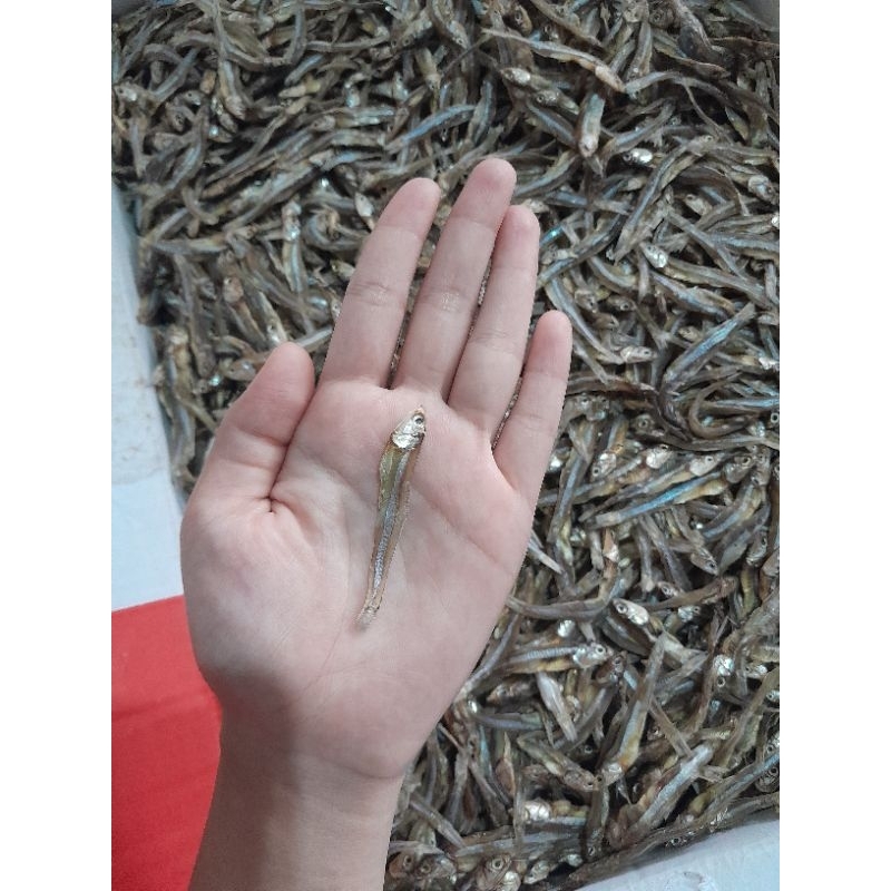 

IKAN TERI JK TAWAR grade A 100GR