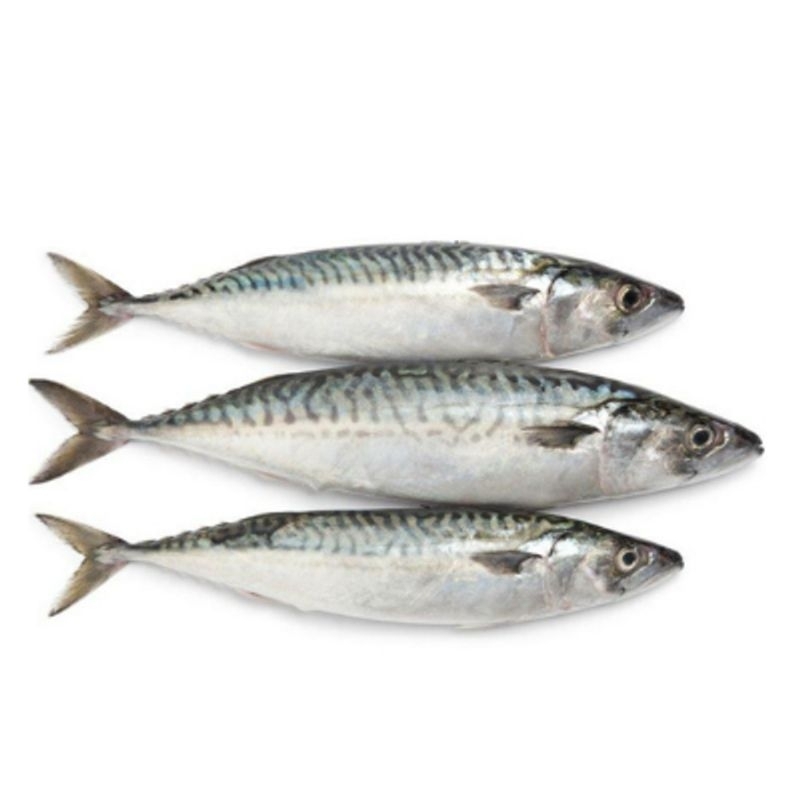 

INSTANT Ikan kembung 500g by pasar Tasik online