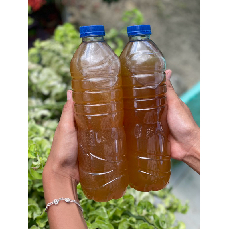 

Madu Hutan Asli Riau 1 kg,Berasal dari Lebah Liar,100% Madu Hutan Asli