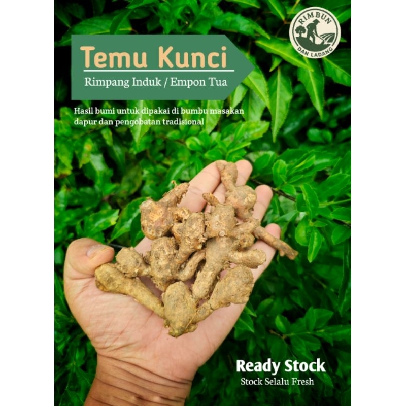 

TEMU | BOROS | EMPON KUNCI TUA ! Bumbu Masakan & Jamu Siap Pakai