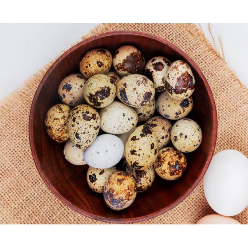 

Telur ayam burung puyuh 1buah