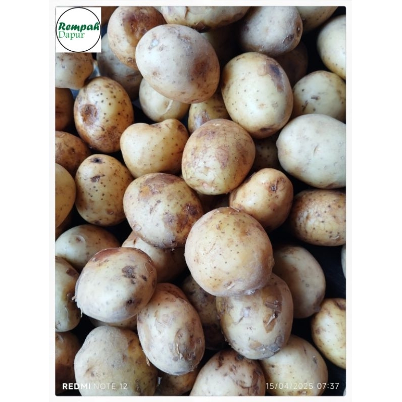 

kentang kecil / potato murah
