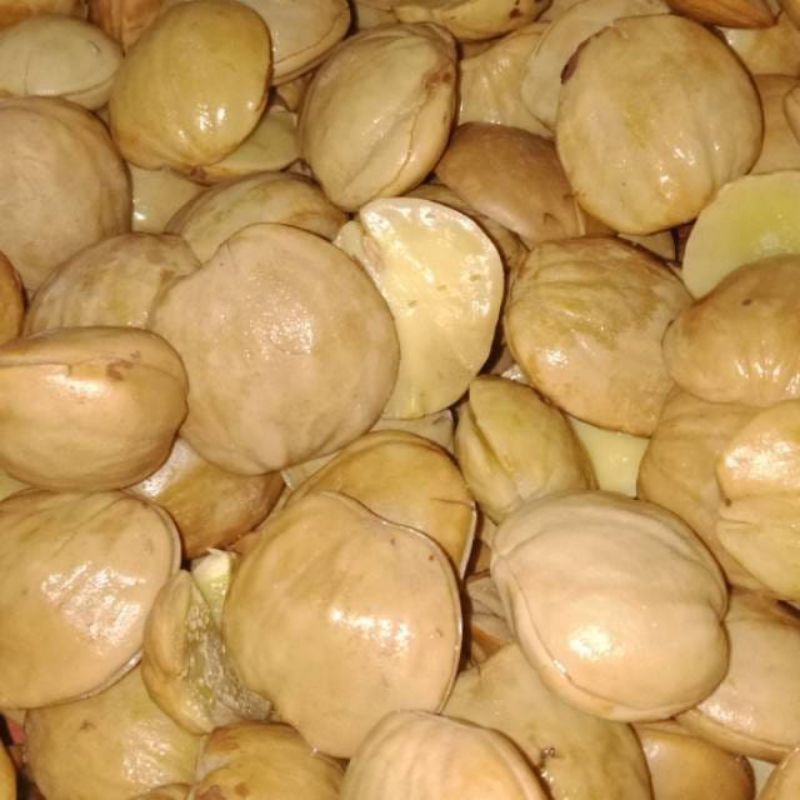 

Instan - Jengkol rebus | Jengkol matang per 250g