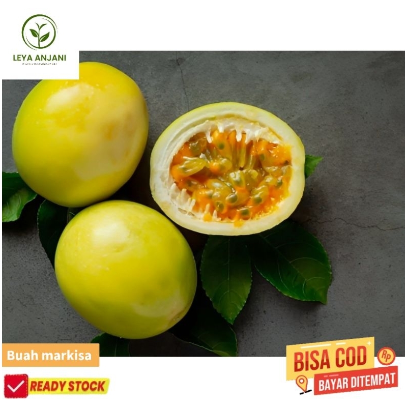 

buah markisa asam manis per 1 kg segar