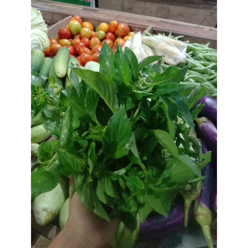 

daun kemangi 100 gr