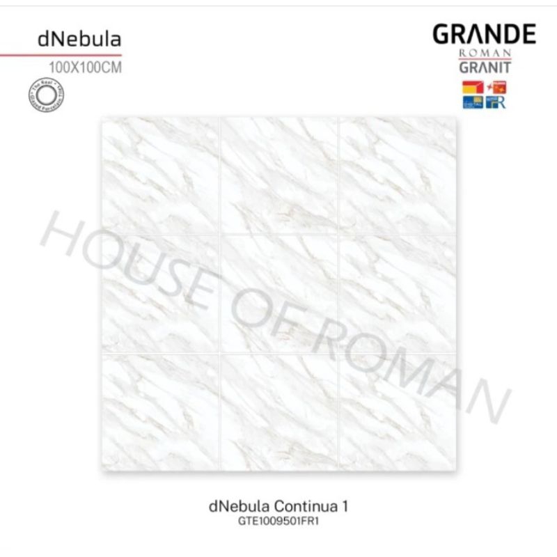 Roman Granit 100x100 Lantai Dinding Grande Merble Glossy/ GTE1009501FR1 dNebula Continua/ ROMAN GRAN