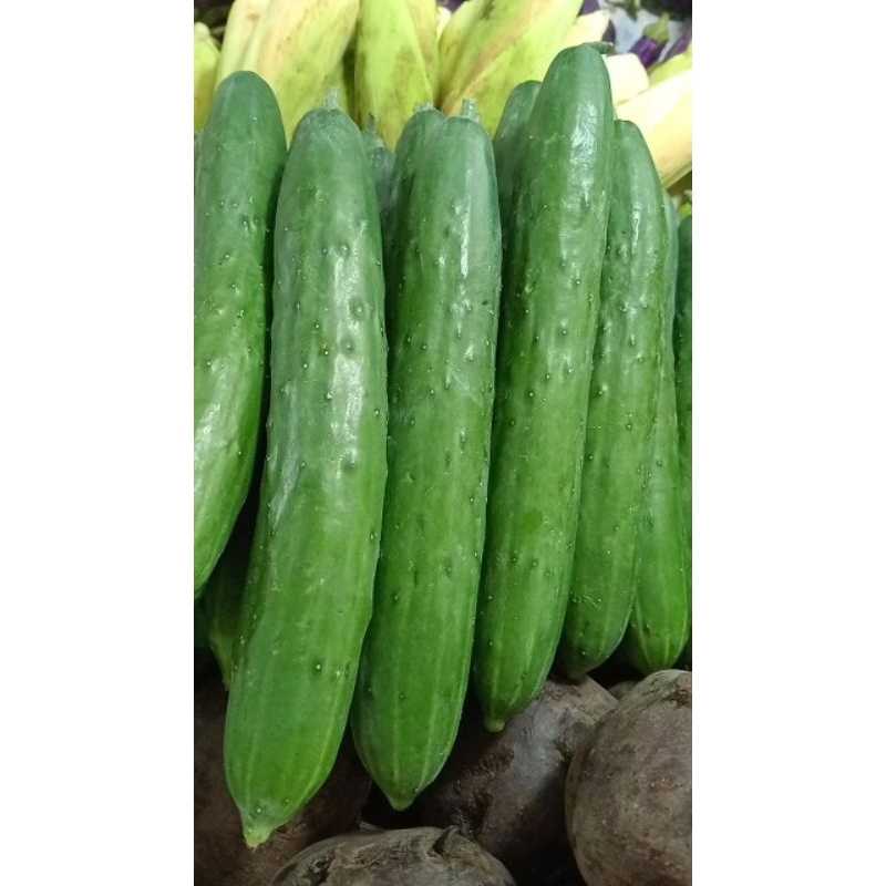 

sayur mayur timun jepang kyuri 250gr 500gr 1kg