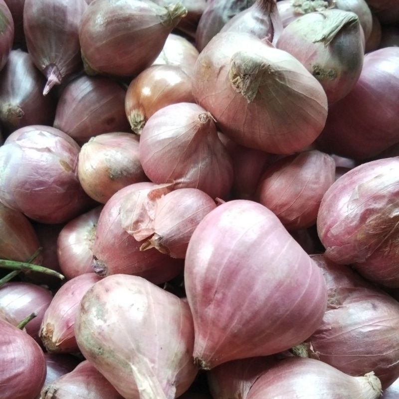 

Bawang Merah Kering 1 kg