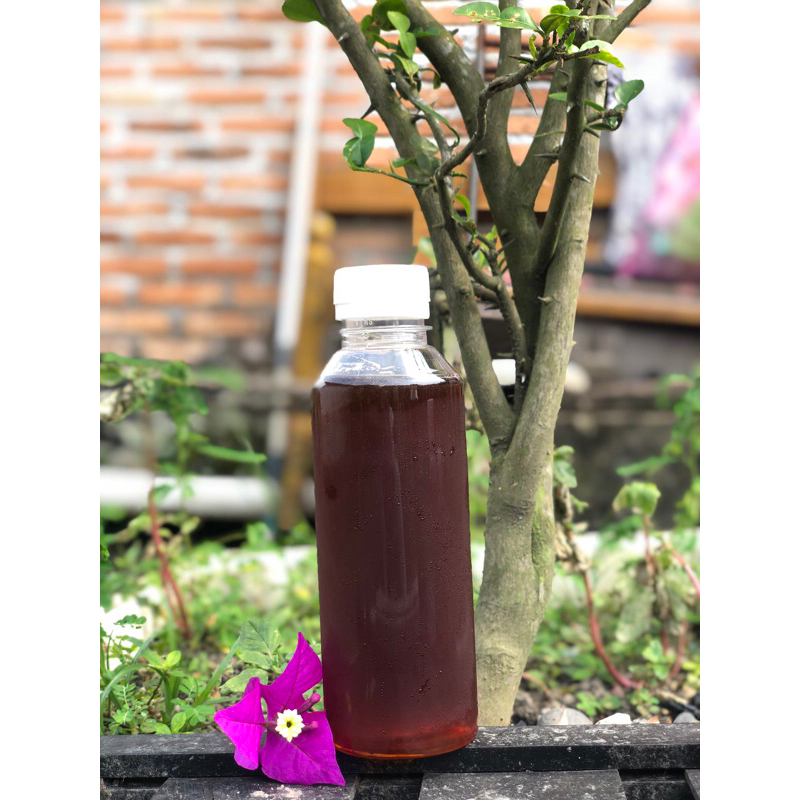 

Madu Asli Hutan Pekanbaru