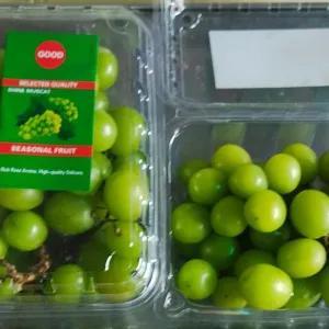 

anggur hijau shine muscat 1pack(500 gram)