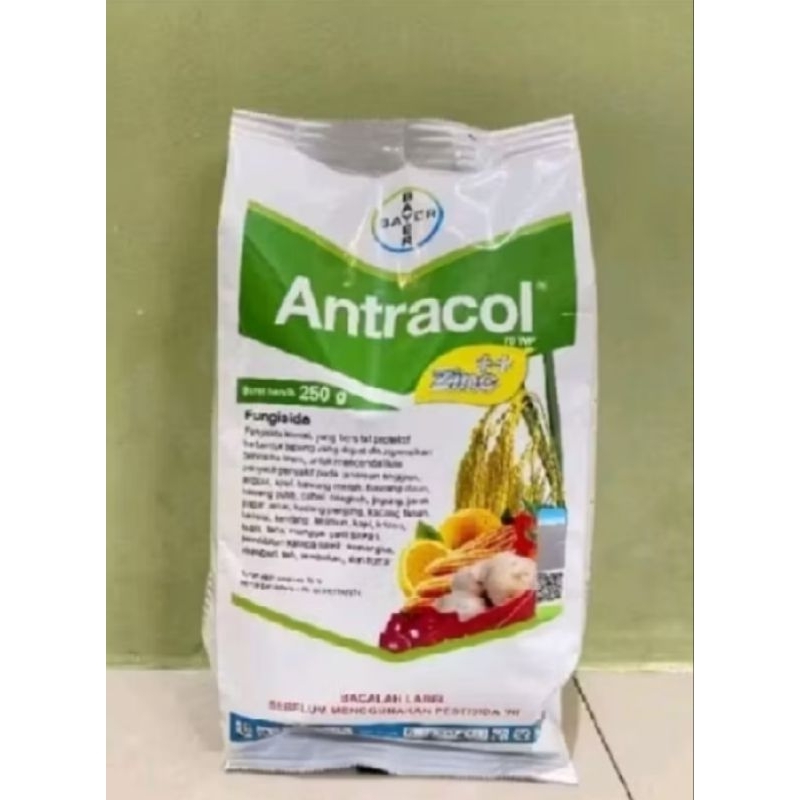 Antracol 250 gram