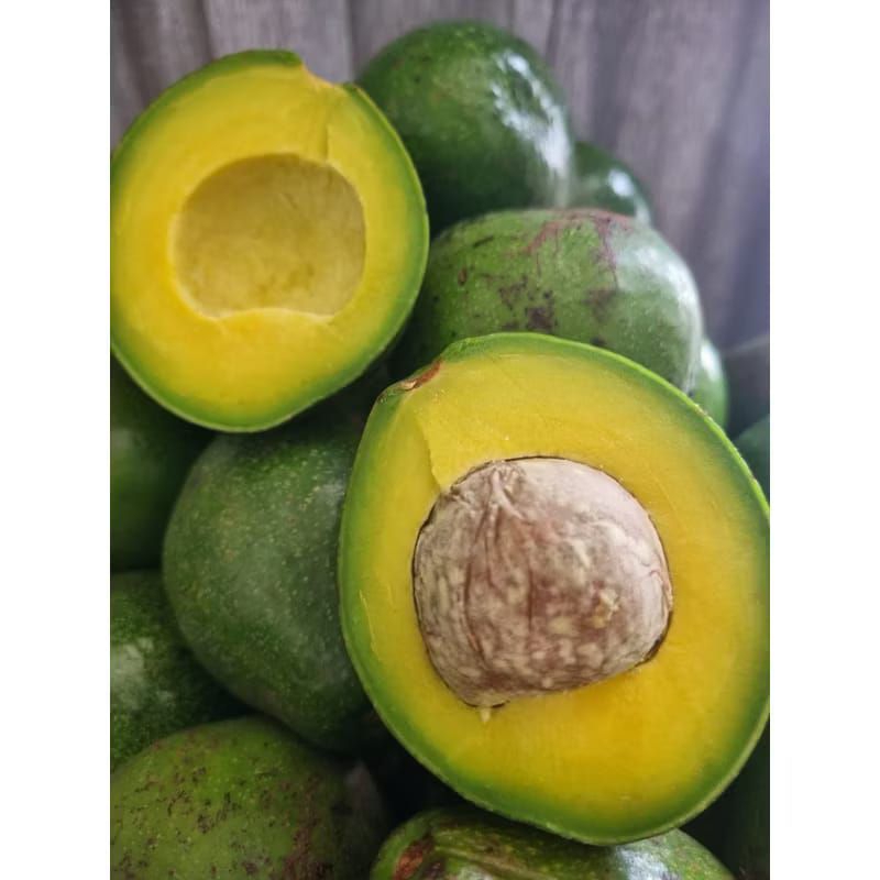 

Alpukat mentega super 1kg isi 5 sampai 7 buah