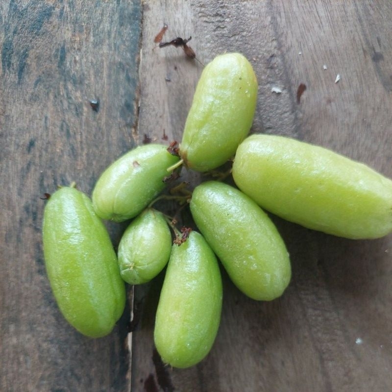 

Blimbing Wuluh Harga 250 Gram