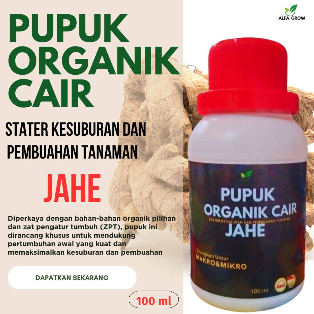 Pupuk untuk tanaman jahe pupuk organik cair tanaman jahe pupuk peyubur tanaman jahe