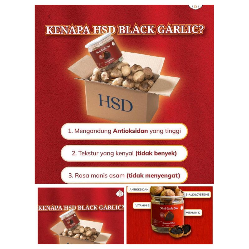 

HSB Black Garlic Solo