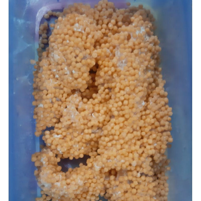 

Chicken Strips Bubble Homemade ( Frozen Food ) 250gr