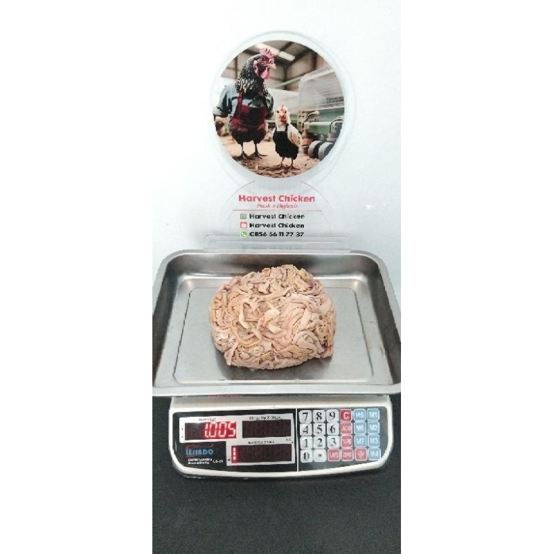 

USUS AYAM PARENT / MERAH ( 500 Gr )