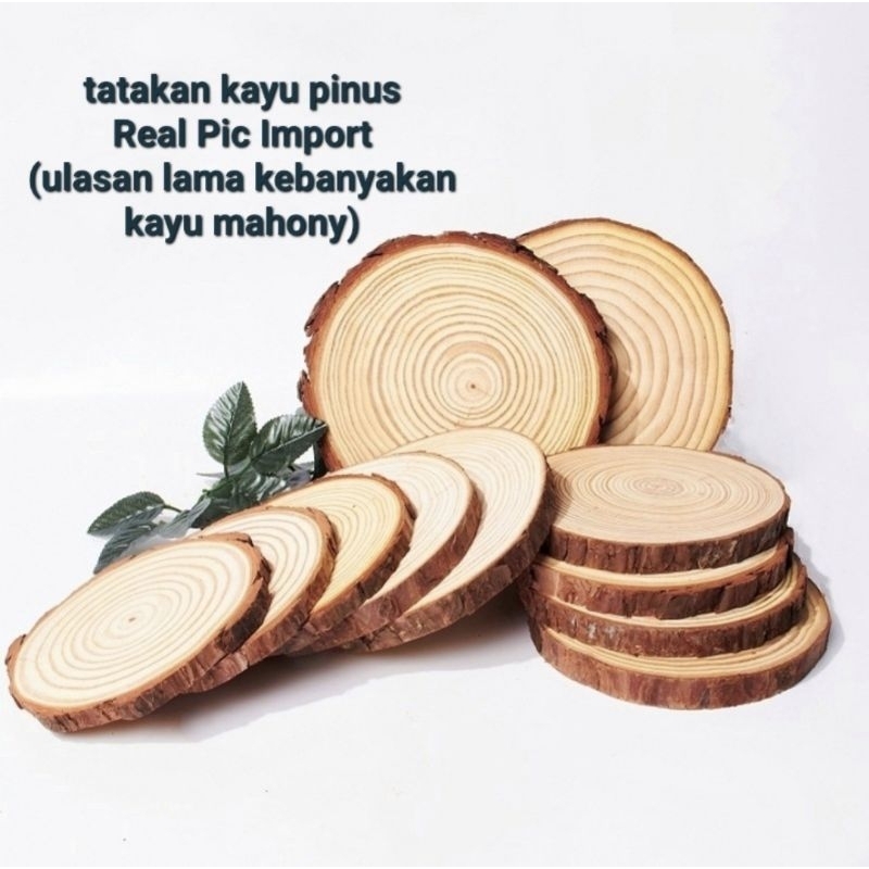 Wood slice tatakan alas kayu pinus (import)
