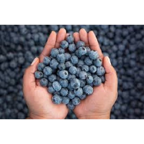 

Blueberry Buah Import segar Pilihan