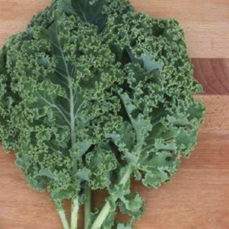 

kale nero keriting 250gr-1kg