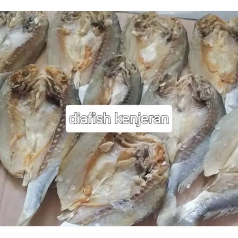 

Ikan kering asin kepala batu atau gelama