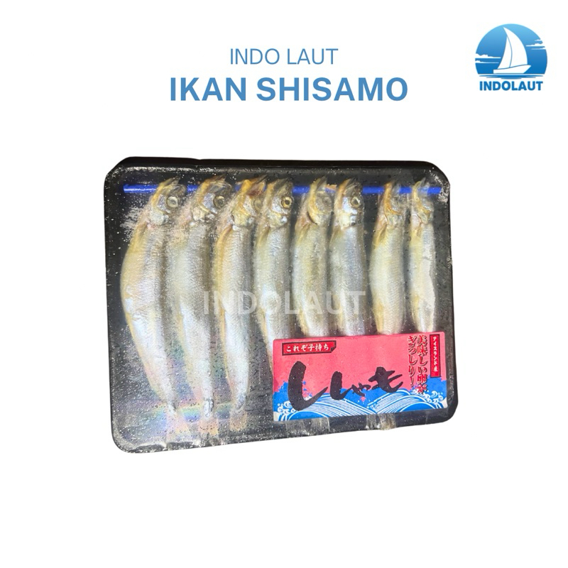 

Ikan Capelis / Shisamo Fish isi 8pcs