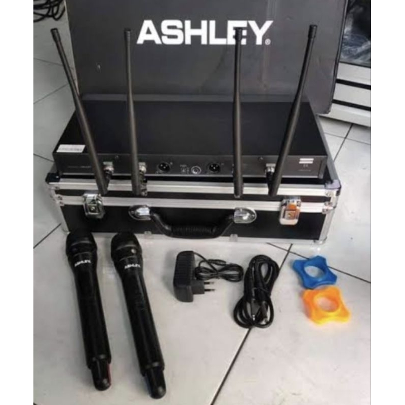 Ashley mic artis
