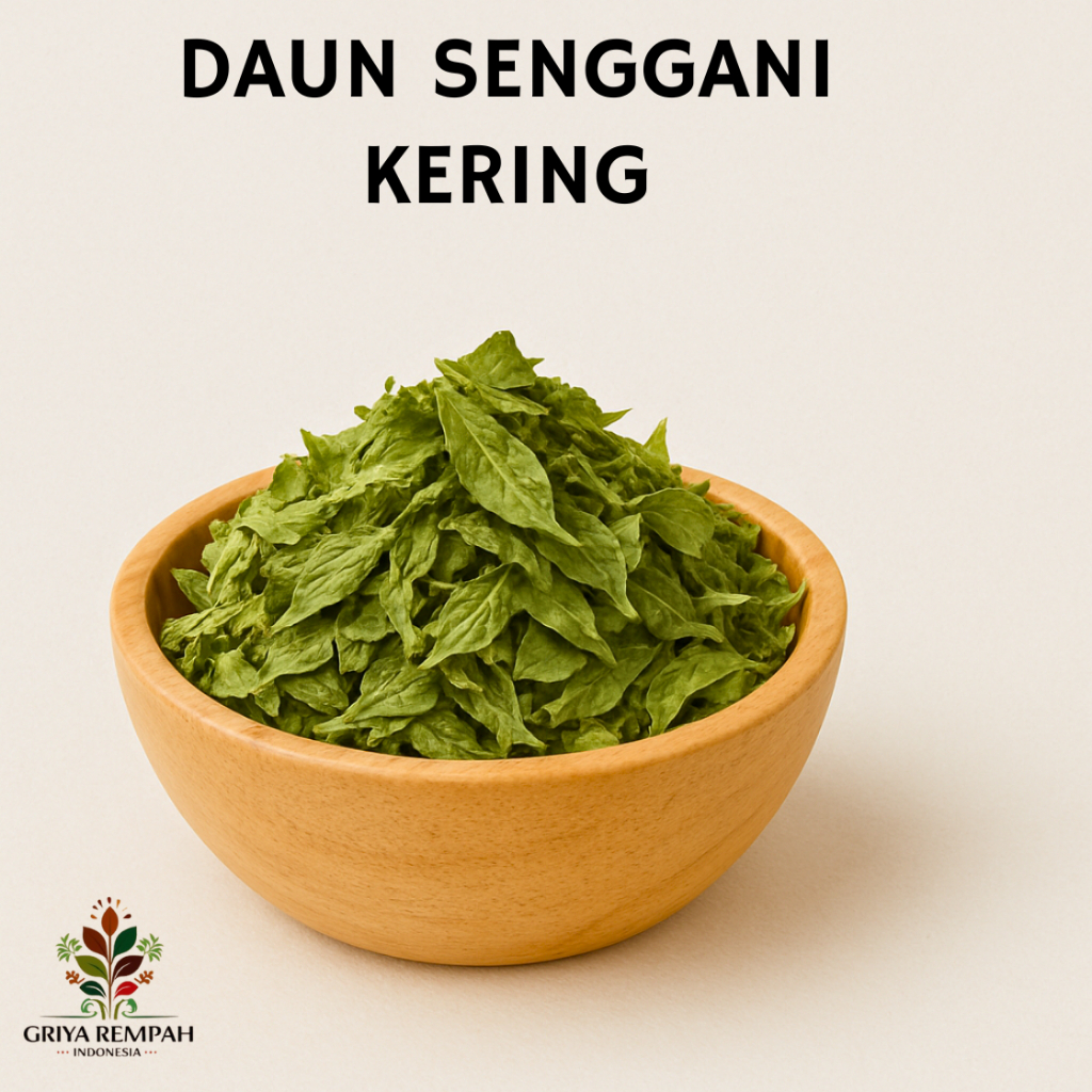 

DAUN SENGGANI KERING 500 GRAM Hatendong Kluruk Rempah Herbal Simplisia Alami Ramuan Jamu Tradisional Kesehatan Melastoma malabathricum Karamunting Senduduk