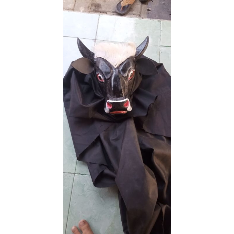 Banteng anak suro kemul