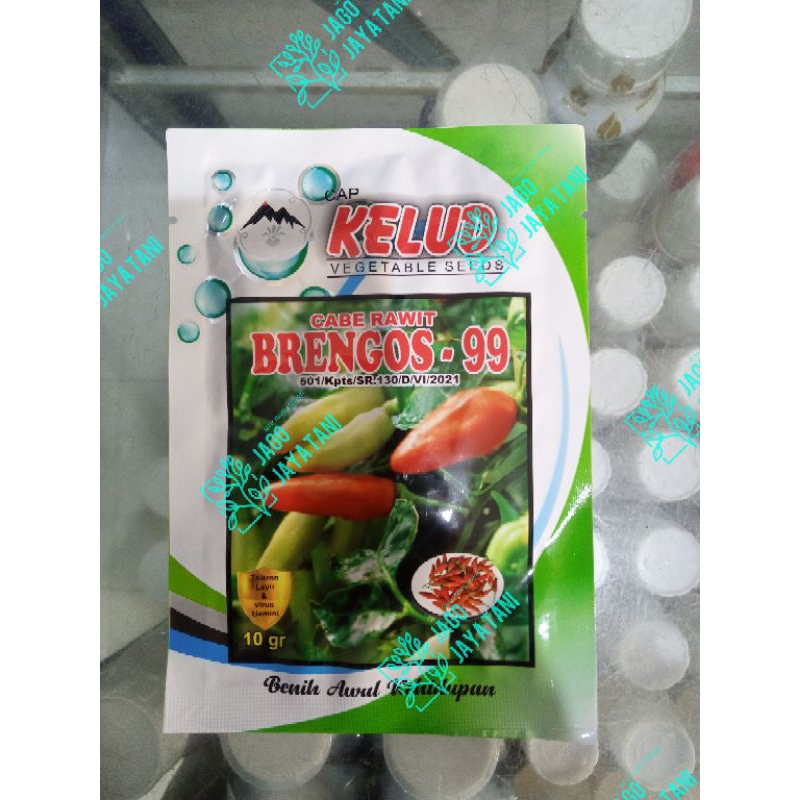

Terbaru - Cabe Rawit Brengos 99 10 gr Benih cabe rawit toleran layu dan virus gemini