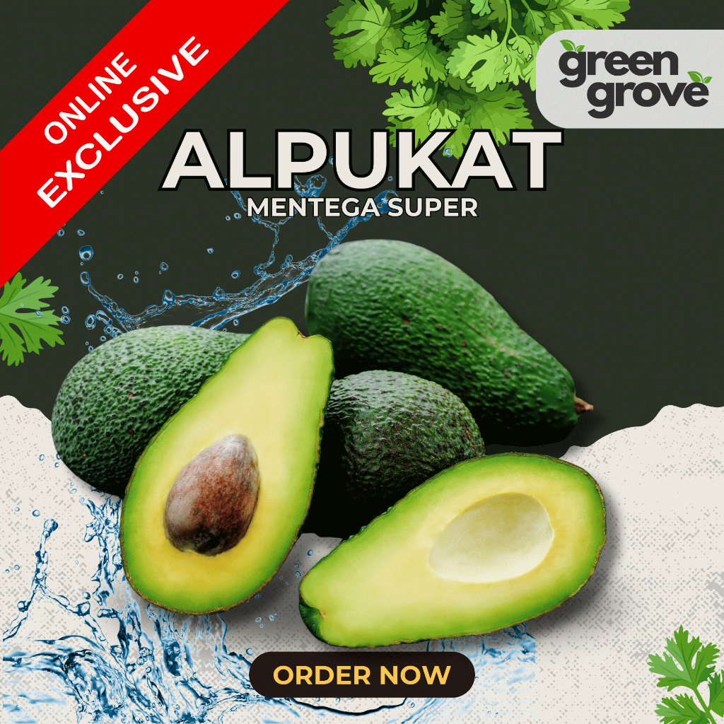 

Alpukat Mentega 1 Kg