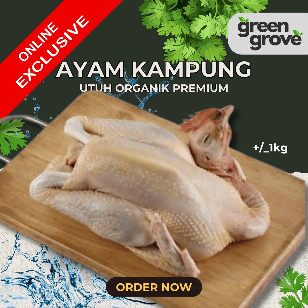 

Ayam Kampung Utuh -/+ 1Kg Fresh Murah