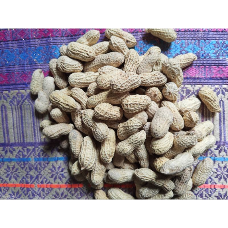 

kacang kulit ASIN bukan garuda